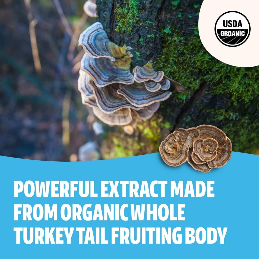 freshcap-mushrooms-immunity-bundle-turke-5.jpg