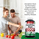 fito-medic-s-dandelion-dandelion-root-ca-81TAMqYbklL.jpg
