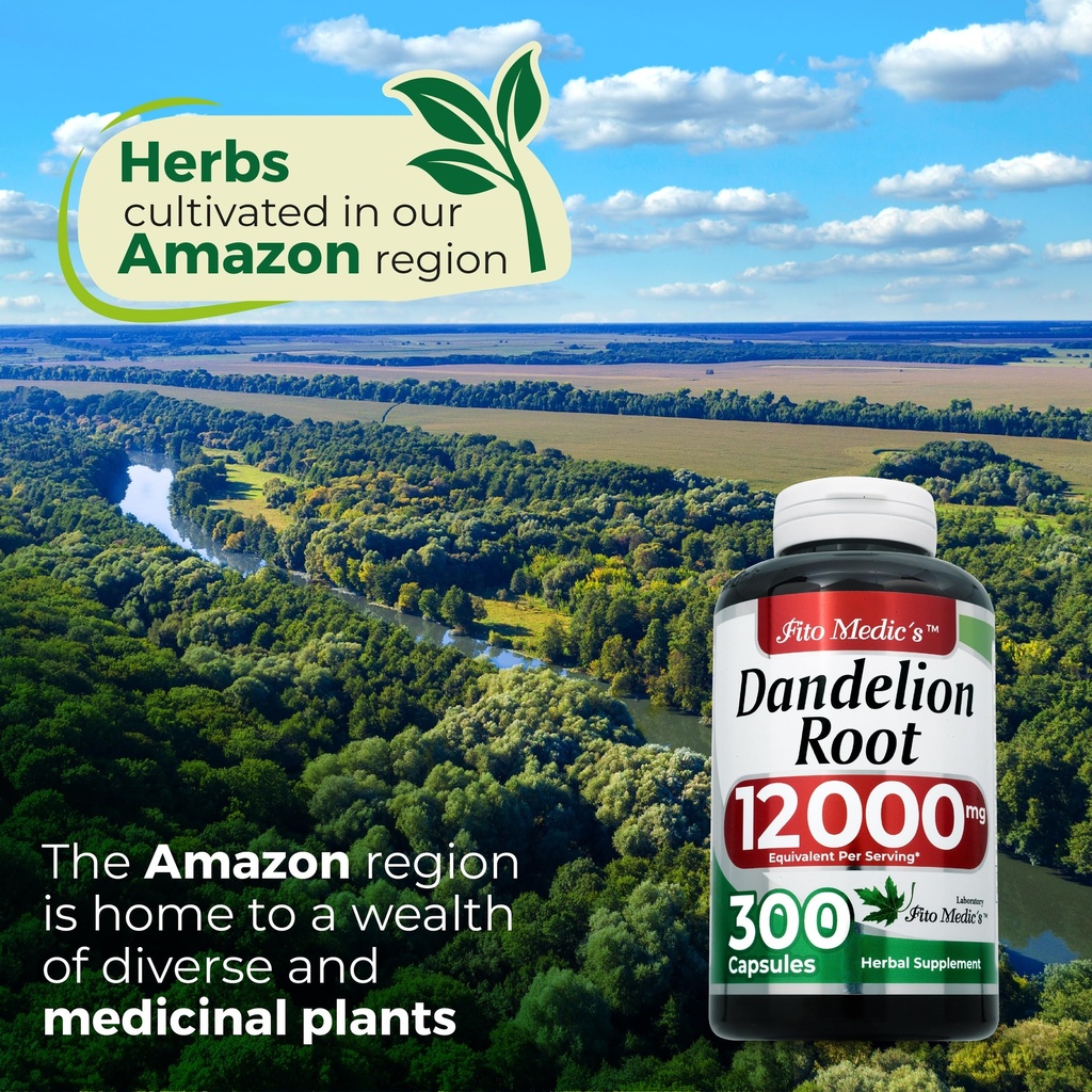 fito-medic-s-dandelion-dandelion-root-ca-91sC8JRJ7pL.jpg