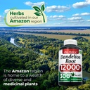 fito-medic-s-dandelion-dandelion-root-ca-91sC8JRJ7pL.jpg