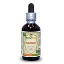 arrowroot-maranta-arundinacea-tincture-d-51pbRIXCsKL.jpg