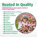 a-vogel-echinaforce-organic-echinacea-dr-81qJ5bTWFrL.jpg