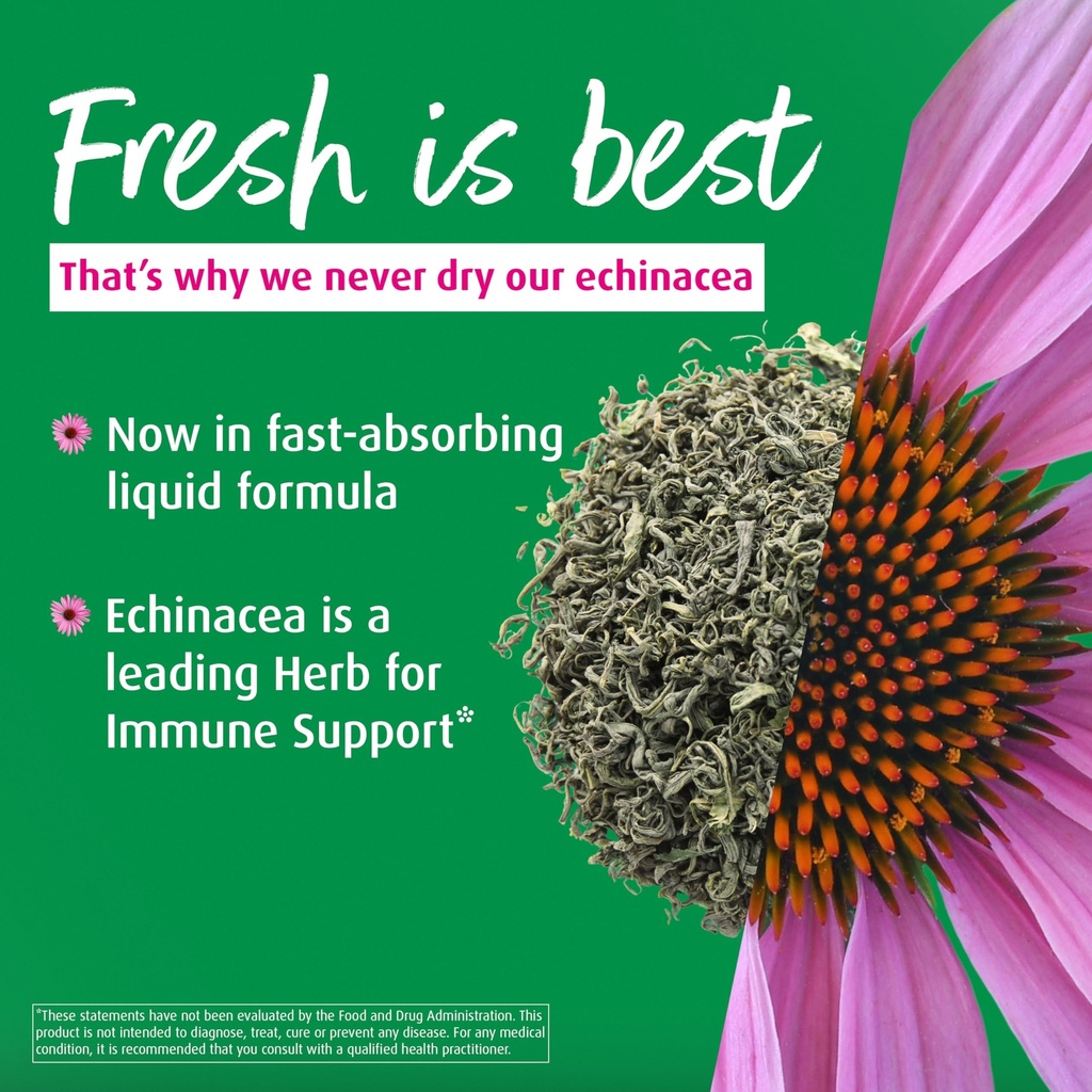 a-vogel-echinaforce-organic-echinacea-dr-813dWLfkxZL.jpg
