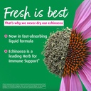 a-vogel-echinaforce-organic-echinacea-dr-813dWLfkxZL.jpg