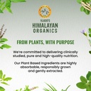 vlado-s-himalayan-organics-garcinia-camb-71TJI5IEB9L.jpg