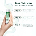 zandu-good-gut-cleanse-detox-shots-15-da-71tWcan6hYL.jpg
