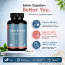 lipase-enzyme-40-mg-digestive-enzyme-sup-61FFo8RZyxL.jpg