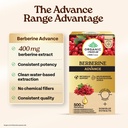 organic-india-berberine-advance-capsules-813Ufepv2BL.jpg