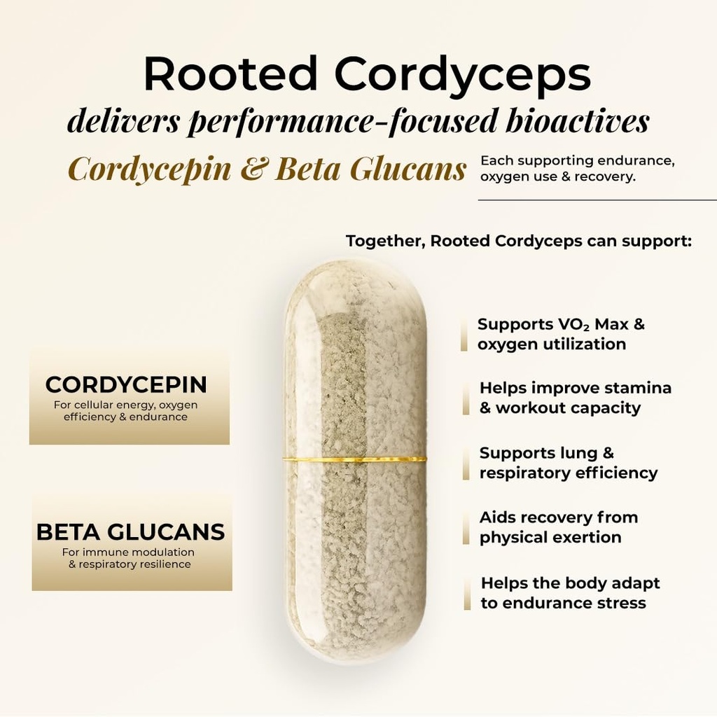 rooted-actives-cordyceps-militaris-mushr-61yfkth7csL.jpg