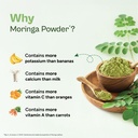 tata-1mg-tejasya-organic-moringa-powder--71SxxwoIc5L.jpg