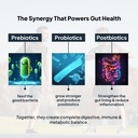 miduty-probiotics-with-postbiotic-prebio-71G8Q4Kmf6L.jpg