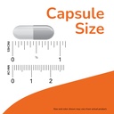 now-supplements-probiotic-10-100-billion-61U1Eq+WoYL.jpg