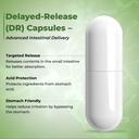 tq-wellness-synergut-pre-probiotics-caps-61cFHBH2JQL.jpg