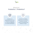 g-micro-prebiotic-and-probiotic-capsules-51cbKIdr8ZL.jpg