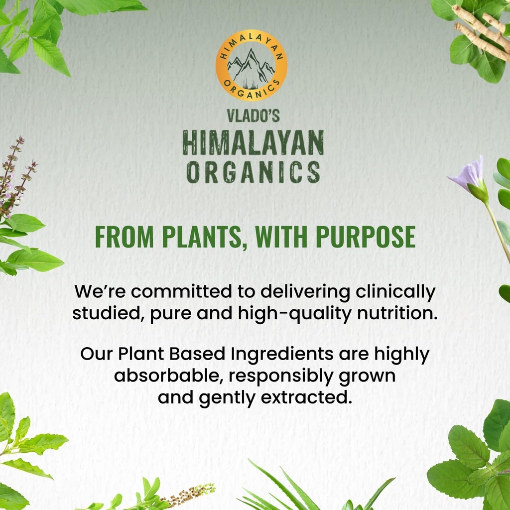 vlado-s-himalayan-organics-probiotics-su-71TJI5IEB9L.jpg