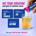 fast-up-creatine-with-electrolytes-stren-71mehZ2kivL.jpg