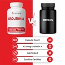 urolithin-a-supplement-1000mg-120-pills--61cxkO7+pvL.jpg