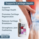 tq-wellness-umbicollarth-joint-support-s-71fPeb2OEtL.jpg