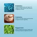 zeroharm-gut-army-probiotics-constipatio-61wTY8qc8wL.jpg