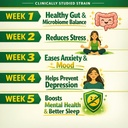 mental-health-probiotics-prebiotics-sach-61zzqxakR9L.jpg