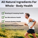 pre-pro-biotic-with-16-strains-prebiotic-61YvR7rOp7L.jpg