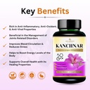 kanchnaar-vegan-capsules-81OsSfXMtRL.jpg