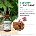 nutramedix-relaxmedix-drops---rest-and-r-3.jpg