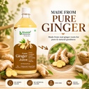 bhumija-lifesciences-ginger-juice-1l-sug-71rCkRe8YtL.jpg