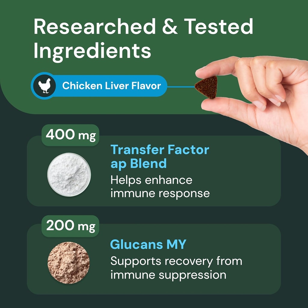 vetriscience-veterinary-strength-dmg-imm-5.jpg