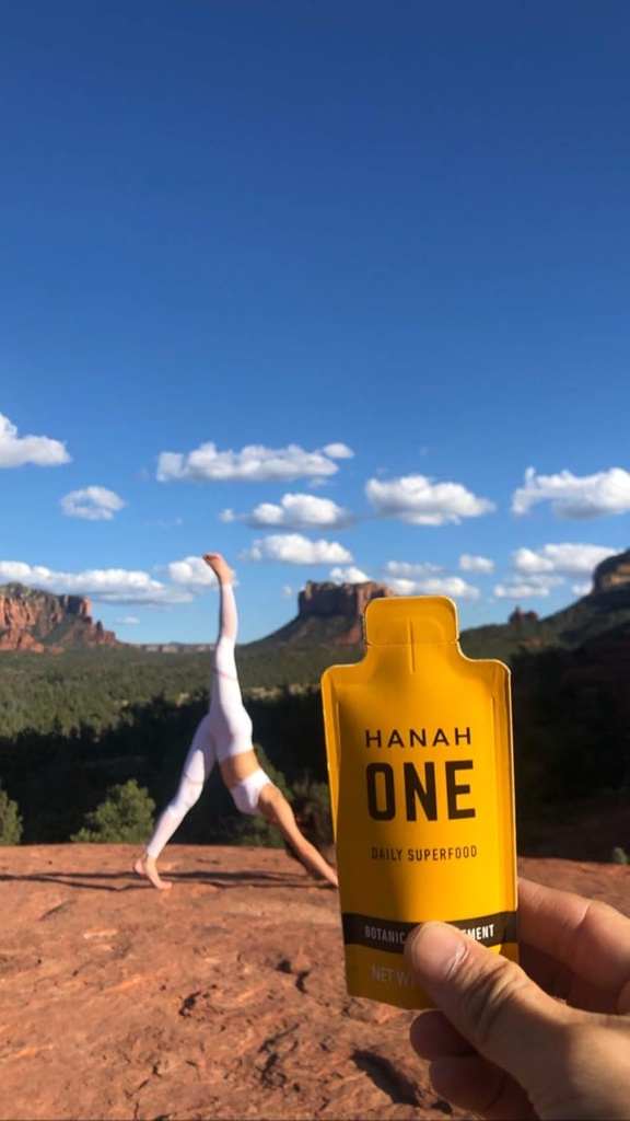hanah-one-go-pack---ayurvedic-superfood--6.jpg