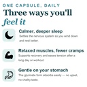 true-bone-muscle-health-combo-calcium-ci-61iSx4dJhGL.jpg