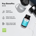 hk-vitals-fish-oil-multivitamin-combo-2--61Hi+XlkkDL.jpg