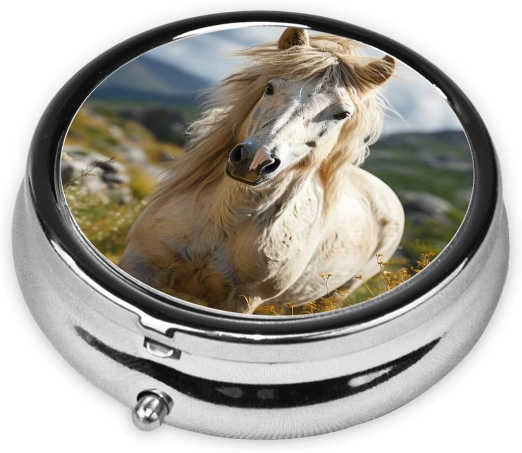 round-pill-box-horse-on-green-grass-cute-2.jpg