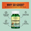 morpheme-remedies-cinnamon-extract-500-m-61CL9rrcUeL.jpg