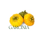 nxtgen-ayurveda-garcinia-cambogia-powder-61PjLld061L.jpg