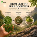 yavani-moringa-oleifera-leaf-powder-pure-712E5RkaBbL.jpg