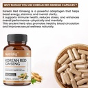 korean-ginseng-with-30-ginsenosides-1000-61lz0f0q-HL.jpg