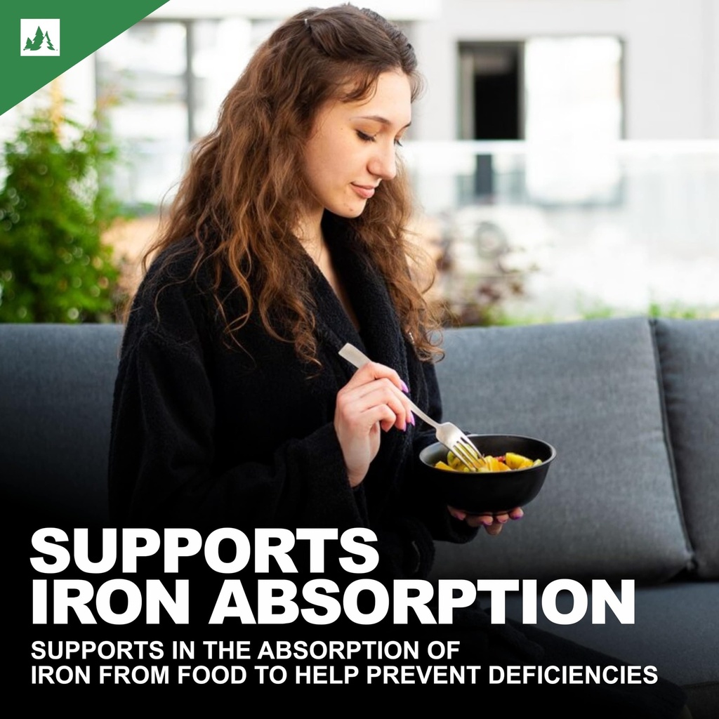 nutrition-natural-vitamin-c-from-amla-al-81d-fe9cQXL.jpg