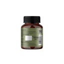 jiva-moringa-tablets-boosts-immunity-ene-61lMAipbYPL.jpg