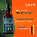 e2h-lions-mane-for-mental-clarity-immuni-5.jpg