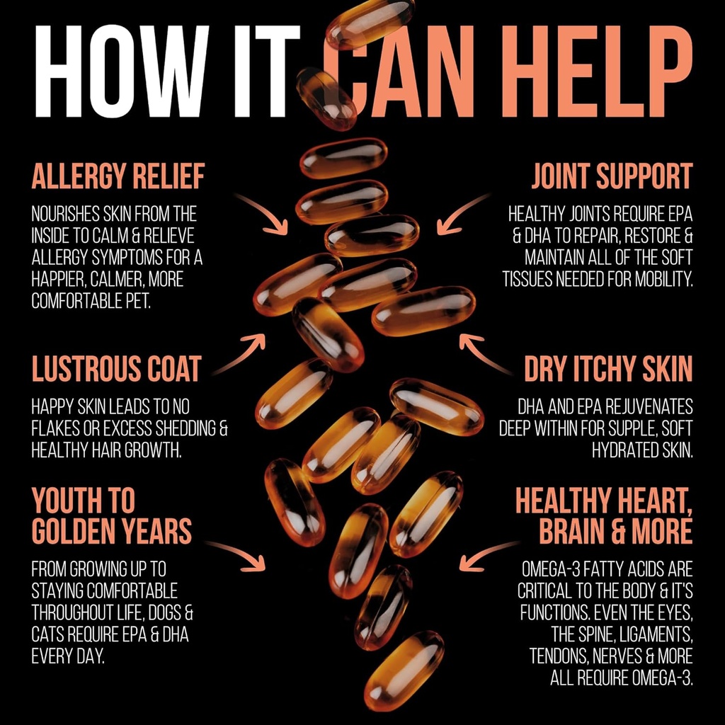 best-paw-nutrition-pure-wild-alaskan-sal-5.jpg