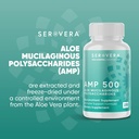 amp-organic-aloe-glyconutrient-supplemen-3.jpg