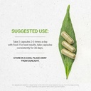 secrets-of-the-tribe---liver-healthy-liv-2.jpg