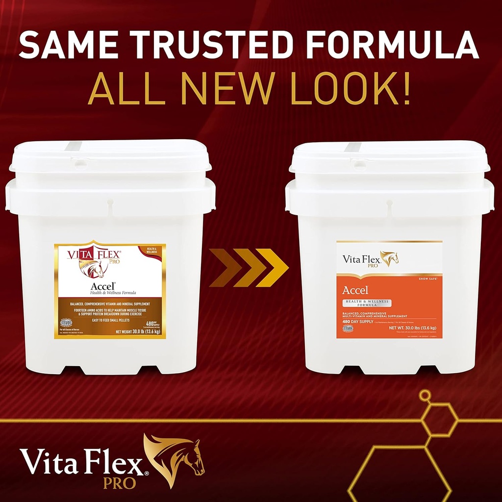 pro-accel-health-wellness-formula-horse--2.jpg