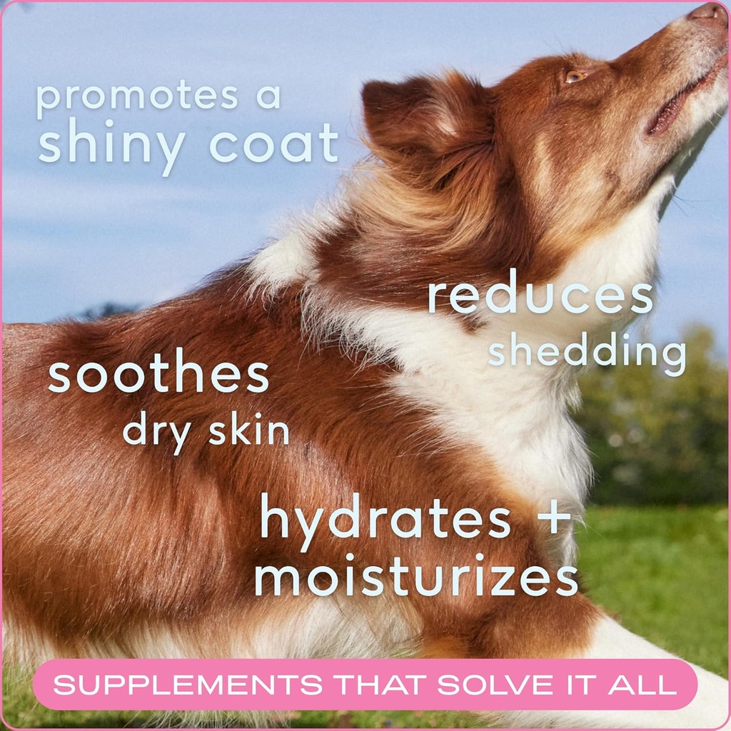 native-pet-omega-skin-and-coat-chews-for-2.jpg