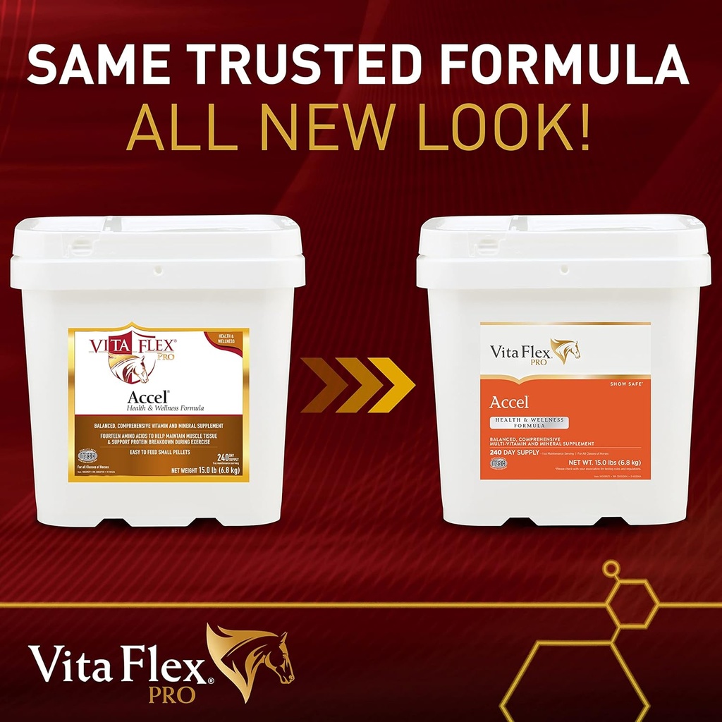 pro-accel-health-wellness-formula-horse--2.jpg