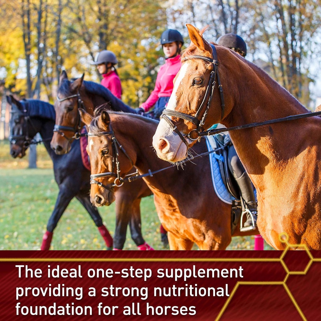 pro-accel-health-wellness-formula-horse--3.jpg