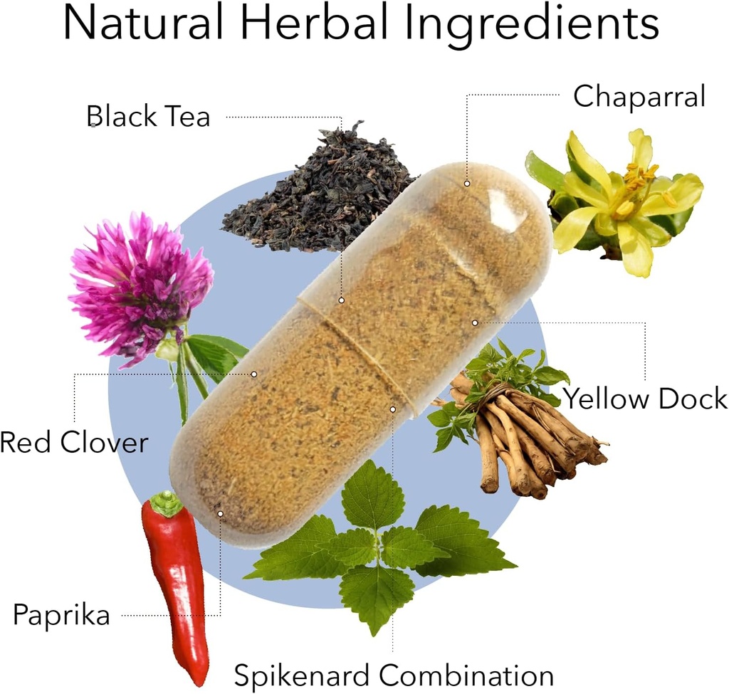 kroeger-herb-products-chem-x-daily-detox-2.jpg