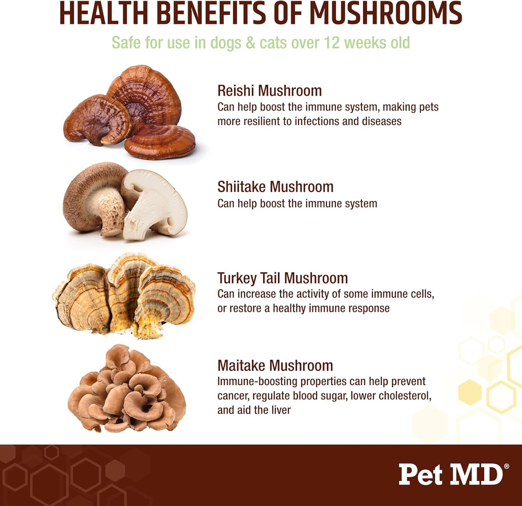 pet-md-mushroom-immune-support-for-dogs--3.jpg