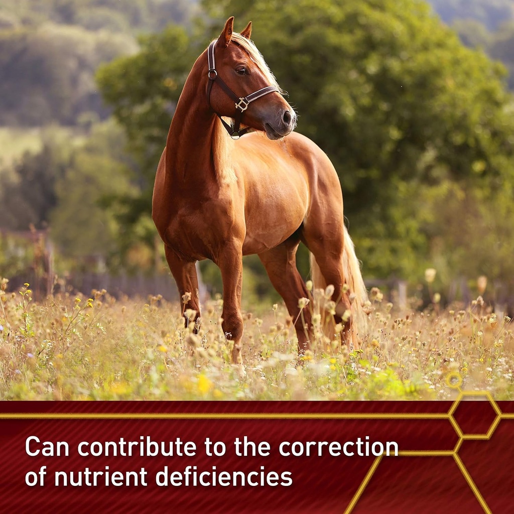 pro-e-and-horse-selenium-supplement-bala-4.jpg